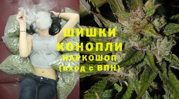 молекула духа Лиски