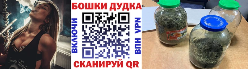 Конопля гибрид  Нюрба 